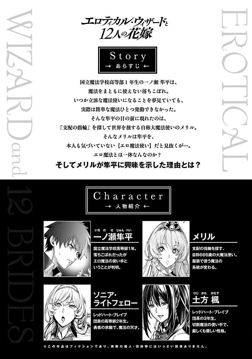 Erotical Wizard &#038; Twelve Brides - Chapter 4 3