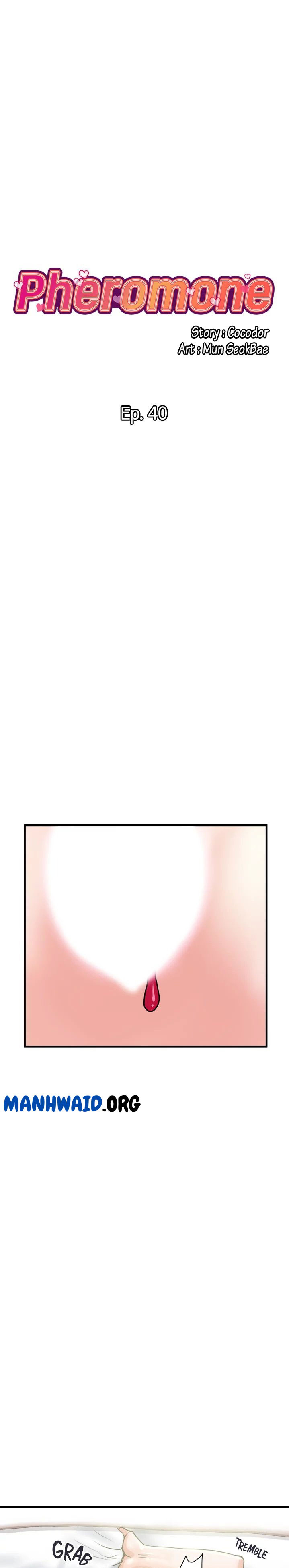Pheromone - Chapter 40 2